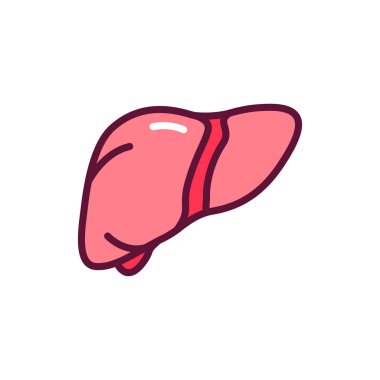 İnsan karaciğer çizgisi ikonu. İzole vektör ögesi. 