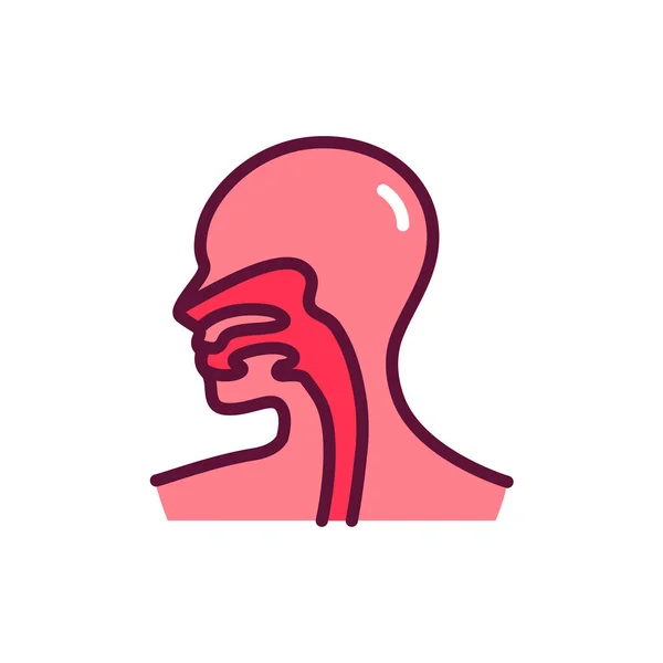 Human Organ Esophagus Line Icon Isolated Vector Element — Stock Vector