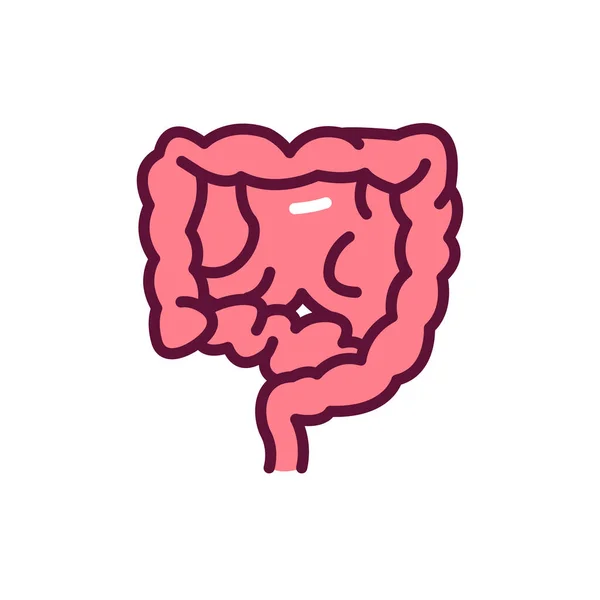 Icono Línea Intestinos Órganos Humanos Elemento Vectorial Aislado — Vector de stock