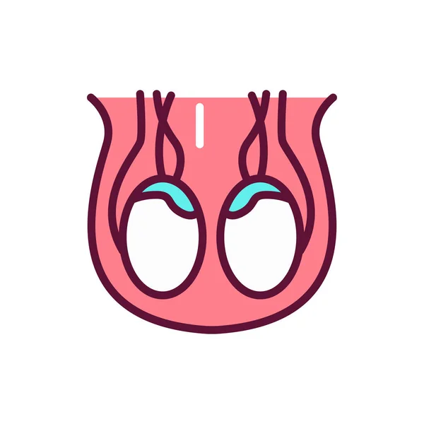 Icona Della Linea Scrotale Dell Organo Umano Elemento Vettore Isolato — Vettoriale Stock