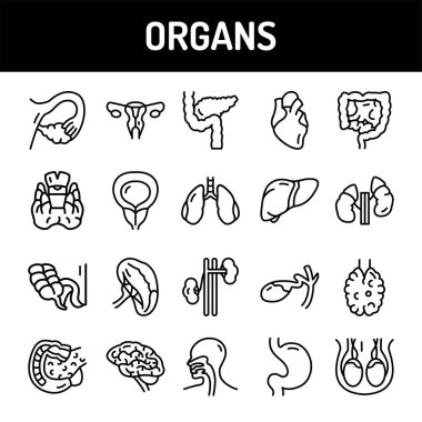 Organ çizgisi simgeleri ayarlandı. İzole vektör elementi. Web sayfası, mobil uygulama, tanıtım için resim taslakları. Düzenlenebilir vuruş.