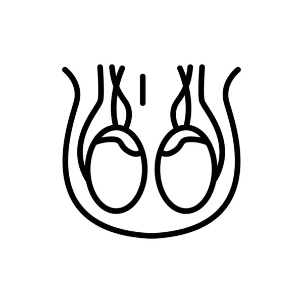 Menschliches Organ Hodensack Farbe Linie Symbol Isoliertes Vektorelement Umriss Piktogramm — Stockvektor