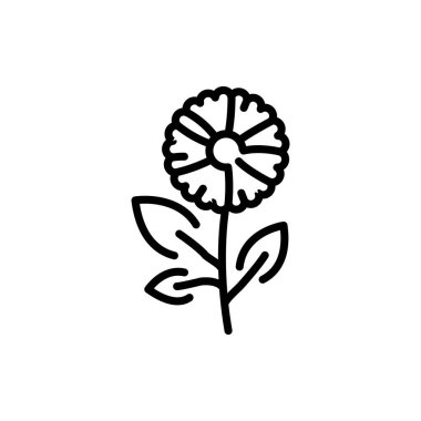 Chamomile olor line icon. Pictogram for web page.