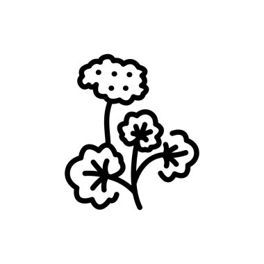 Geranium olor line icon. Pictogram for web page.