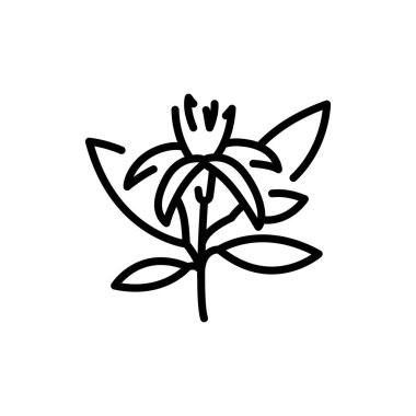 Neroli olor line icon. Pictogram for web page.