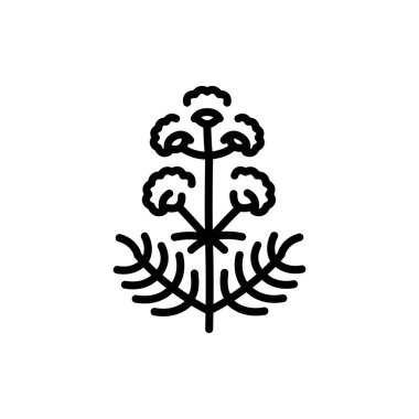 Valerian olor line icon. Pictogram for web page.