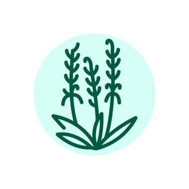 Lavender olor line icon. Pictogram for web page.