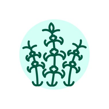 Melissa olor line icon. Pictogram for web page.