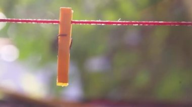 Sarı renkli kurutma tokalarını ipe asan adam.