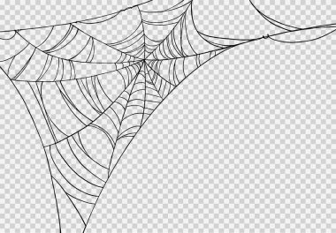 Örümcek ağlı Cadılar Bayramı partisi arka planı yalıtılmış png veya şeffaf doku, metin için boş alan, poster için element şablonu, broşürler, çevrimiçi reklam, vektör ilüstrasyonu 