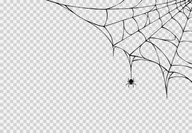Örümcek ağlarından sarkan örümcek ağı izole png veya şeffaf doku, Cadılar Bayramı parti arka planı, metin için boş alan, poster için element şablonu, broşürler, çevrimiçi reklamcılık, vektör ilülasyonu 