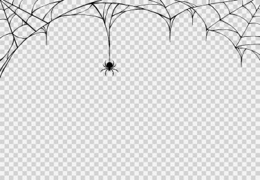 Örümcek ağlarından sarkan örümcek ağı izole png veya şeffaf doku, Cadılar Bayramı parti arka planı, metin için boş alan, poster için element şablonu, broşürler, çevrimiçi reklamcılık, vektör ilülasyonu 