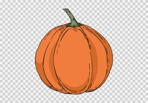 Estilo Pintura Pincel Calabaza Mano Dibujar Aislado Png Textura Transparente — Vector de stock