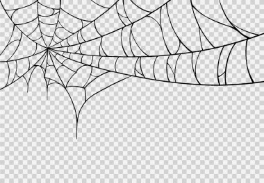 Örümcek ağlı Cadılar Bayramı partisi arka planı yalıtılmış png veya şeffaf doku, metin için boş alan, poster için element şablonu, broşürler, çevrimiçi reklam, vektör ilüstrasyonu 