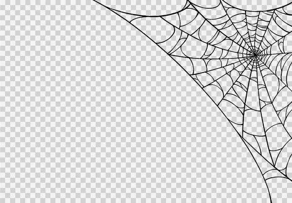 Halloween Party Achtergrond Met Spinnenwebben Geïsoleerde Png Transparante Textuur Lege — Stockvector