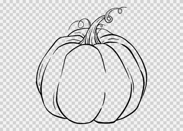 Esquema Calabaza Mano Dibujar Con Estilo Cepillo Aislado Png Textura — Vector de stock