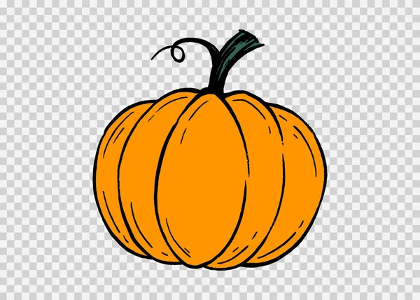 Pumpkin Hand Draw Brush Paint Style Isolated Png Transparent Texture — Stock Vector