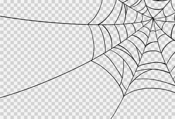 Halloween Party Achtergrond Met Spinnenwebben Geïsoleerde Png Transparante Textuur Lege — Stockvector