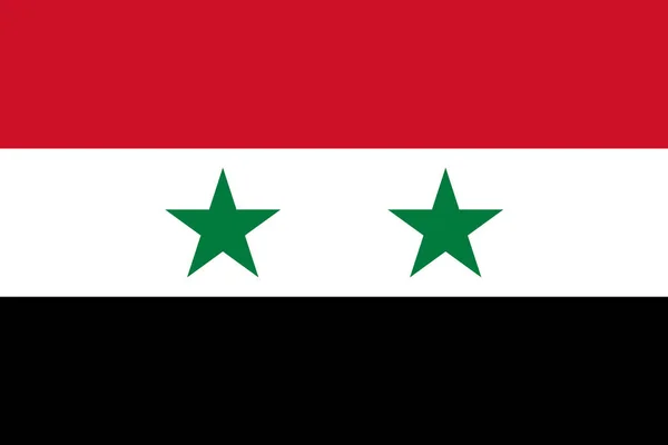 Onda Bandeira Síria Isolada Fundo Png — Vetor de Stock