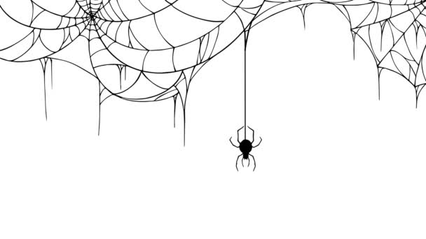 Fond Fête Halloween Avec Araignée Suspendue Aux Toiles Araignée Sur — Video