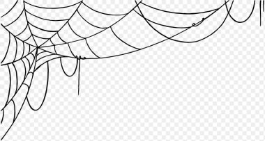 Örümcek ağlı Cadılar Bayramı partisi arka planı yalıtılmış png veya şeffaf doku, metin için boş alan, poster için element şablonu, broşürler, çevrimiçi reklam, vektör ilüstrasyonu 