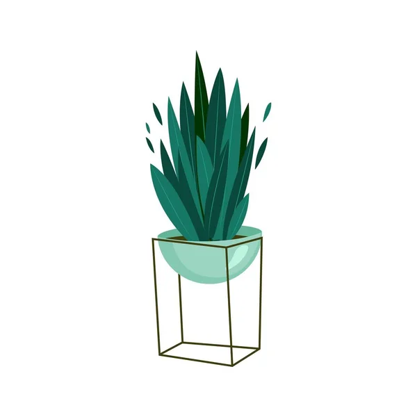 Sansevieria houseplant in a pot. Vector illustration in flat style — Stock Vector