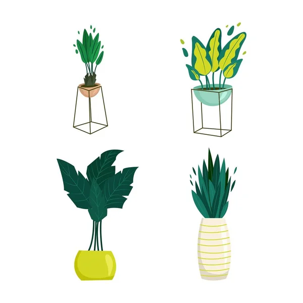 Plantas de casa em vasos em estilo plano. Ilustração dos desenhos animados vetoriais —  Vetores de Stock