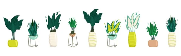 Plantas de casa em vasos em estilo plano. Ilustração dos desenhos animados vetoriais —  Vetores de Stock
