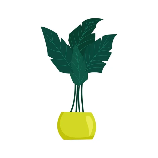 Palmkamerplant in een pot. Vector illustratie in platte stijl — Stockvector