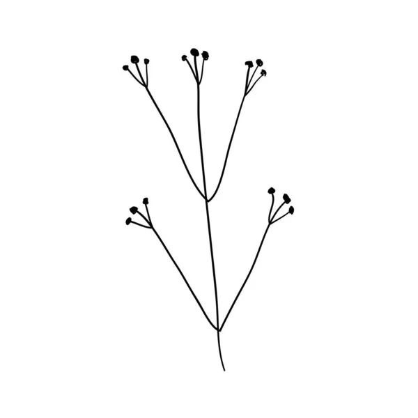 Elementi floreali fatti a mano e fiori. Illustrazione dello scarabocchio vettoriale — Vettoriale Stock