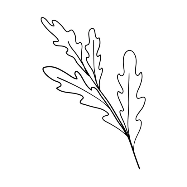Elementi floreali fatti a mano e fiori. Illustrazione dello scarabocchio vettoriale — Vettoriale Stock
