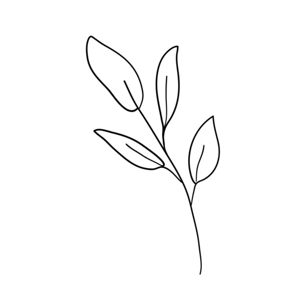 Elementos florais artesanais e flores. Ilustração do doodle vetorial — Vetor de Stock