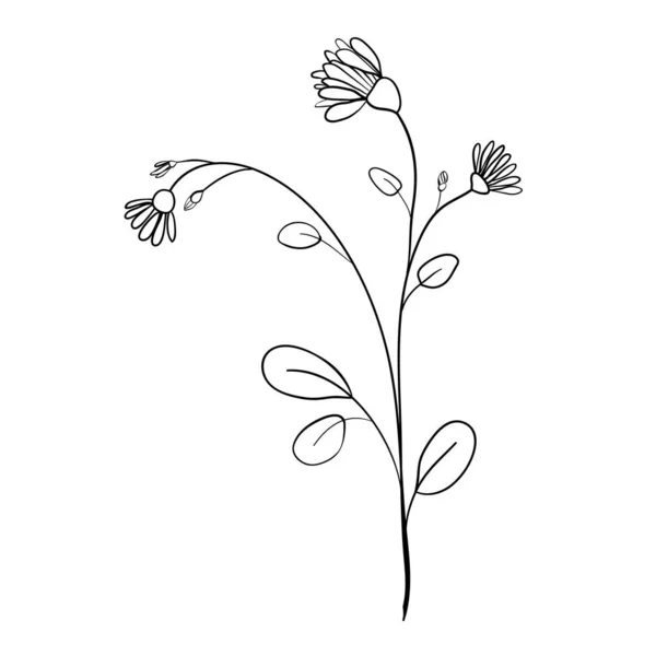 Elementos florais artesanais e flores. Ilustração do doodle vetorial — Vetor de Stock