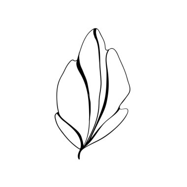 El yapımı çiçek elementleri ve çiçekler. Vektör karalama çizimi