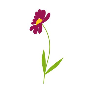 Gerbera çiçeği, bahar bitkisi. Vektör illüstrasyon düz çizgi film tarzı. Papatyalar