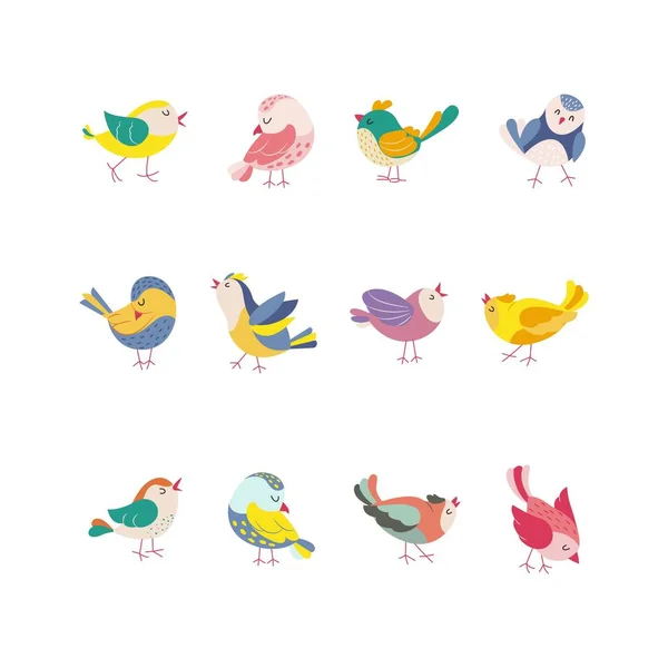 Funny colored birds in different poses set. Exotic birds collection. Vector illustration in flat style.