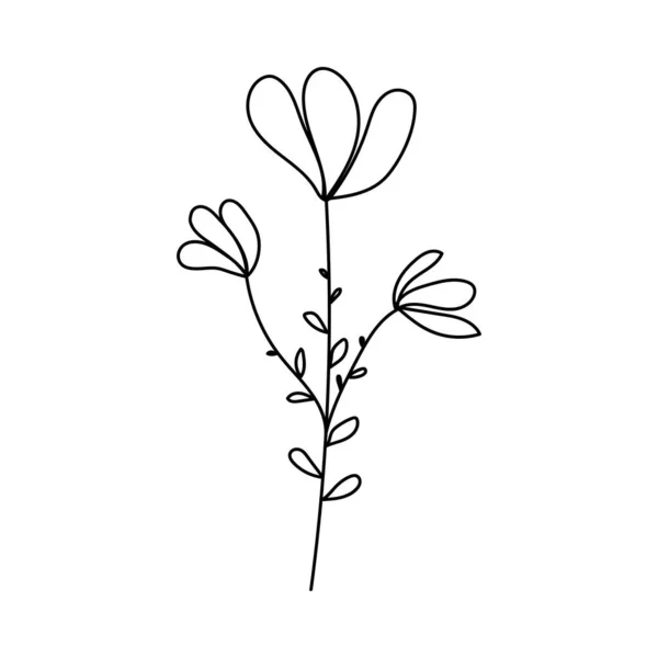 Silhouette Image Chamomile Vector Illustration Flower Flowers Plants — ストックベクタ
