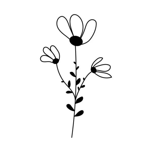 Silhouette Image Chamomile Vector Illustration Flower Flowers Plants — Stok Vektör