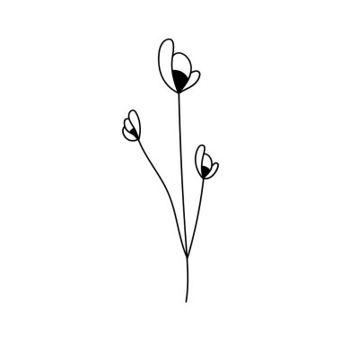 Bir çiçek tasviri, yapraklı ve çiçekli bir dal silueti. Vektör çizimi. Çiçek izi.