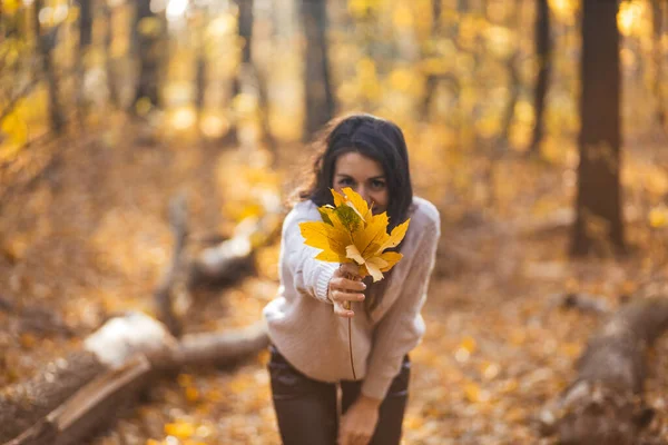 Молодая веселая женщина с букетом листьев в осеннем лесу — стоковое фото