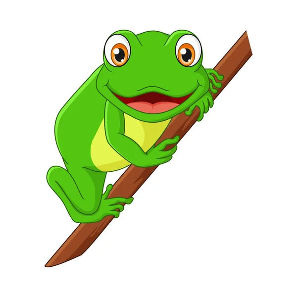 Wektor Ilustracja Cute Little Frog Kreskówki Gałęzi Drzewa — Wektor stockowy