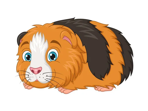 Vector Illustratie Van Leuke Hamster Cartoon Witte Achtergrond — Stockvector