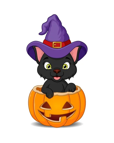 Wektor Ilustracja Cartoon Czarny Kot Kapelusz Czarownicy Wewnątrz Halloween Dynia — Wektor stockowy