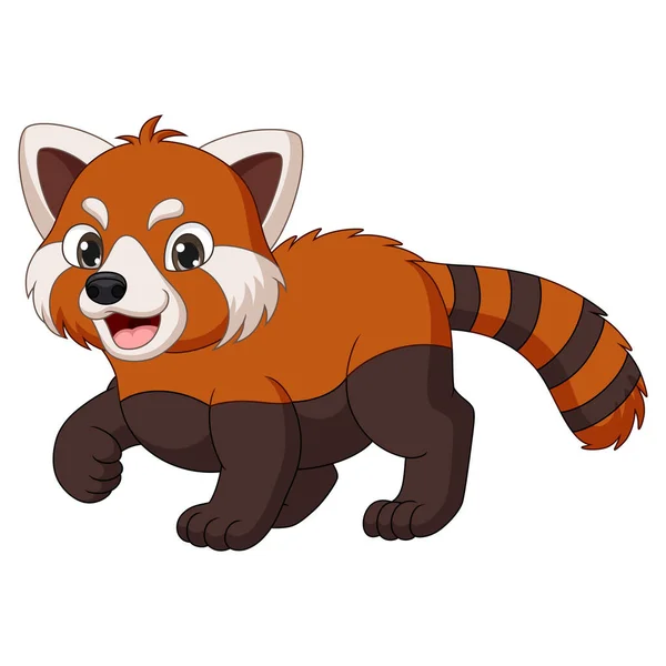 Vector Illustration Cute Red Panda Cartoon Walking — Stock Vector