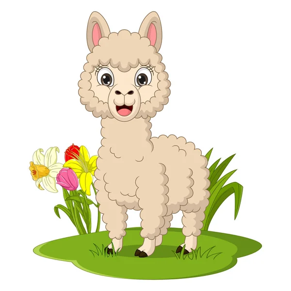 Vector Illustration Cute Llama Cartoon Grass — Stock Vector