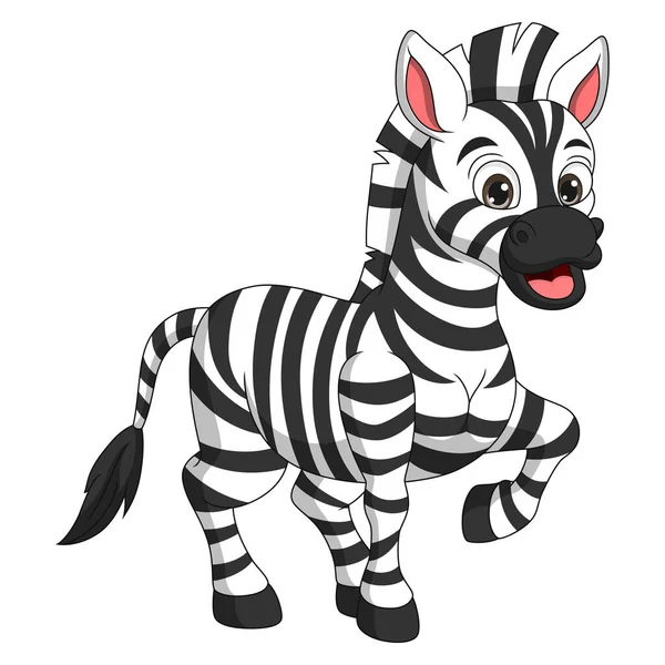 Vector Illustration Von Niedlichen Zebra Cartoon Auf Weißem Hintergrund — Stockvektor