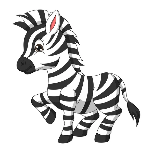 Vector Illustration Von Niedlichen Zebra Cartoon Auf Weißem Hintergrund — Stockvektor