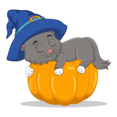 Vector Illustration of Cartoon cat in witch hat sleeping on pumpkin