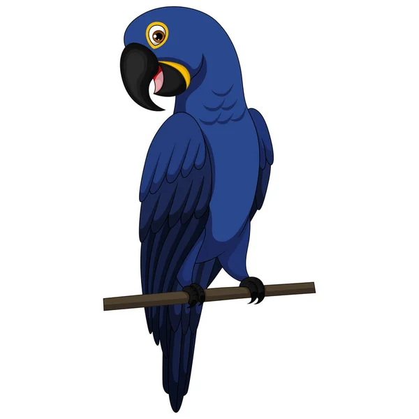 Ilustração Vetorial Papagaio Arara Azul Bonito Senta Ramo —  Vetores de Stock