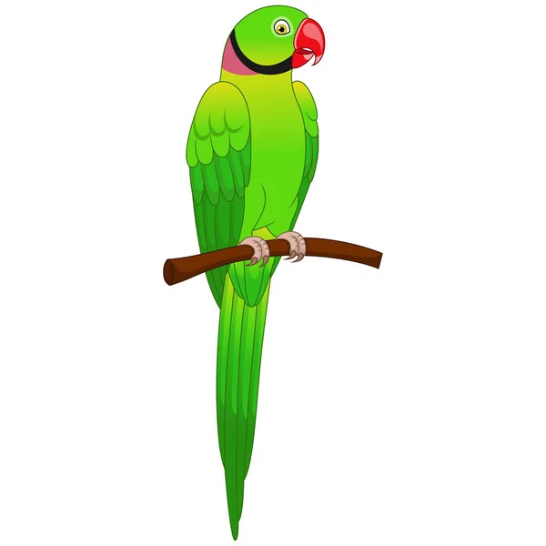 Ilustración Vectorial Dibujos Animados Loro Guacamayo Lindo Rama Del Árbol — Vector de stock